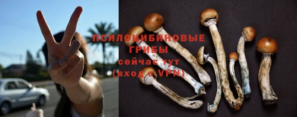 мяу мяу мука Покачи