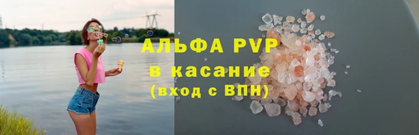 ECSTASY Алзамай