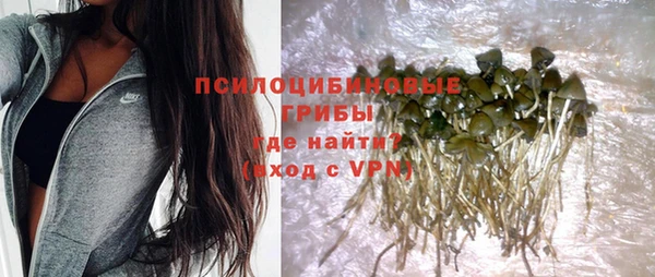 ECSTASY Алзамай