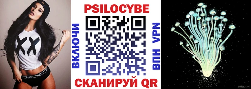 Галлюциногенные грибы мицелий  магазин  наркотиков  Камызяк 